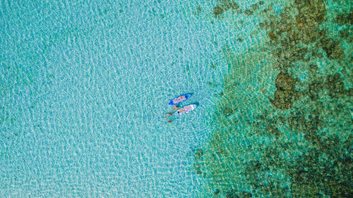 High angle view of man swimming in sea