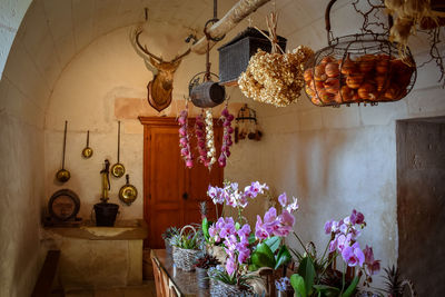 Recreation of the old kitchen of the castle. eating table,  a deer head, hunting trophy.