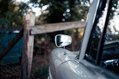 Close-up of car against trees