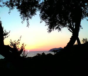 Silhouette trees by sea against sky during sunset