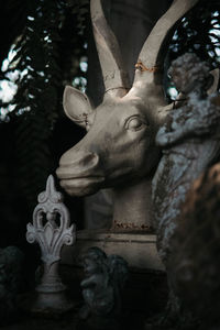 Low angle view of statue against trees