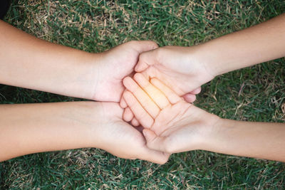 High angle view of woman hand holding grass