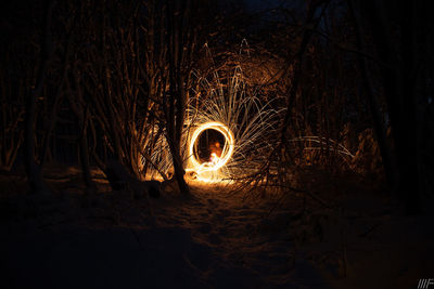 Illuminated lights in forest at night