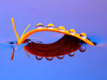 Low angle view of kite against blue sky