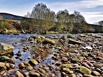 Scenic view of river against sky