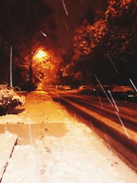 Road amidst trees during winter at night