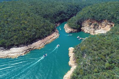 High angle view of sea and trees