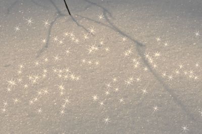 High angle view of frozen shadow on snow