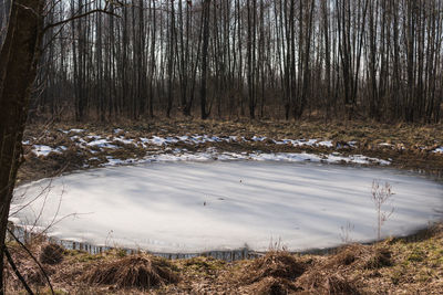 Scenic view of lake in forest during winter