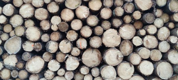 Full frame shot of logs