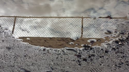 Close-up of horse against sky
