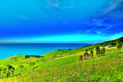 Scenic view of landscape against blue sky