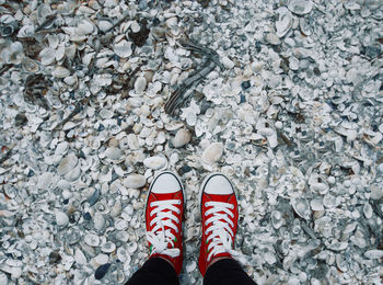 Low section of man wearing red canvas shoes standing on seashells at beach