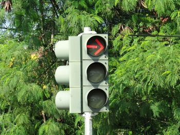 Road sign by trees