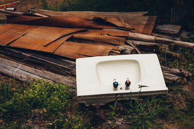 High angle view of abandoned wash bowl and woods on field