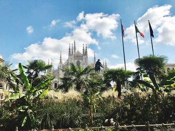 Palm trees and plants against sky in city