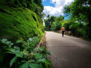 Rear view of person walking on footpath by road