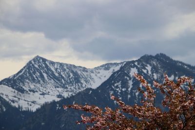 Scenic view of snowcapped mountains against sky