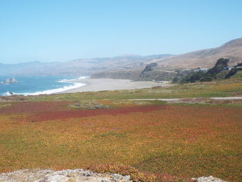 Scenic view of landscape against clear sky