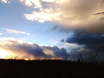 Silhouette trees on field against sky at sunset