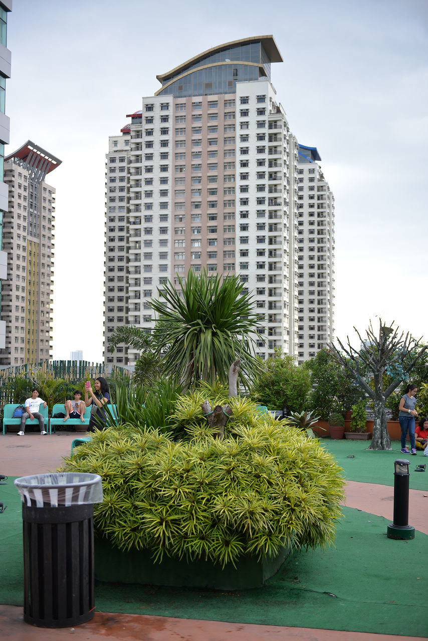 TREES AND MODERN BUILDINGS AGAINST SKY