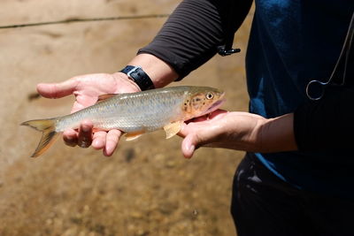 Midsection of man holding fish while standing outdoors