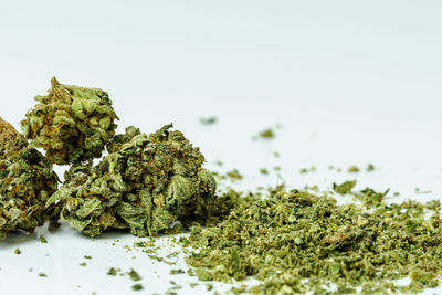 Close-up of marijuana against white background