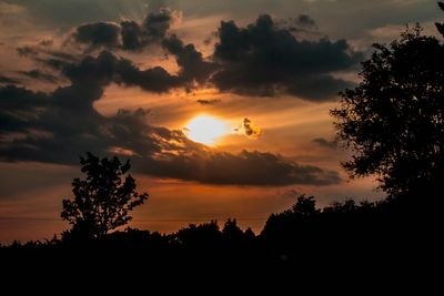 Silhouette of trees against cloudy sky