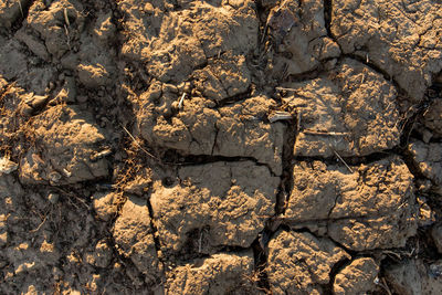 Full frame shot of cracked field