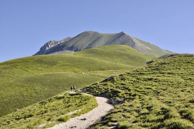 Scenic view of landscape against clear sky