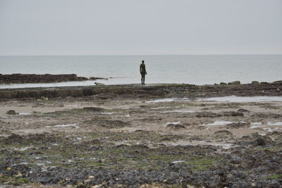 Man standing on beach against clear sky