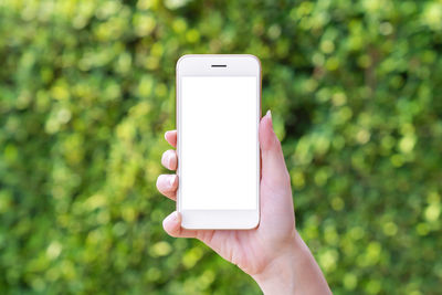 Close-up of hand holding mobile phone