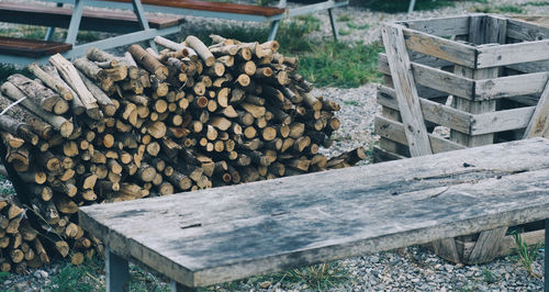 Stack of logs in forest