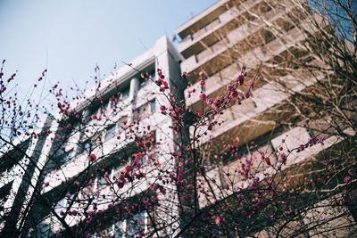 Low angle view of building