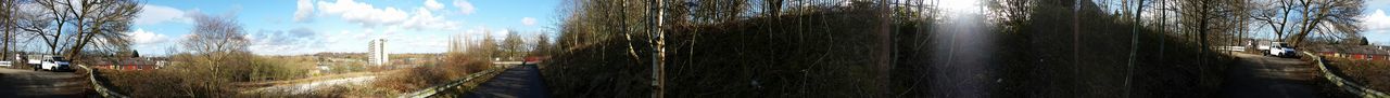 Trees on landscape against sky