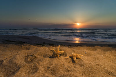 Scenic view of beach during sunset