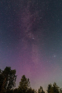 Low angle view of trees against star field