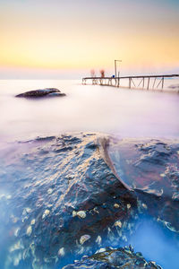 Sea shells on rock with pier in background