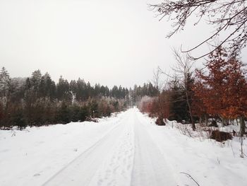 Snow covered road by trees against sky