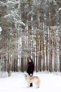 Beautiful woman is walking with her south russian shepherd dog on a background of winter forest.