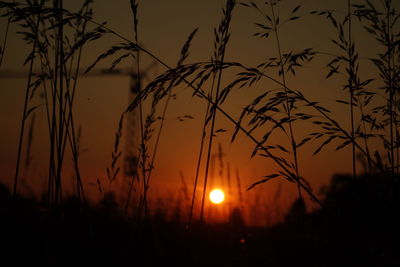 Scenic view of silhouette field against sky during sunset