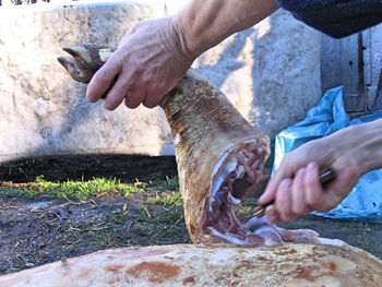 Close-up of person cutting meat