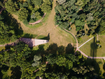 High angle view of road amidst trees