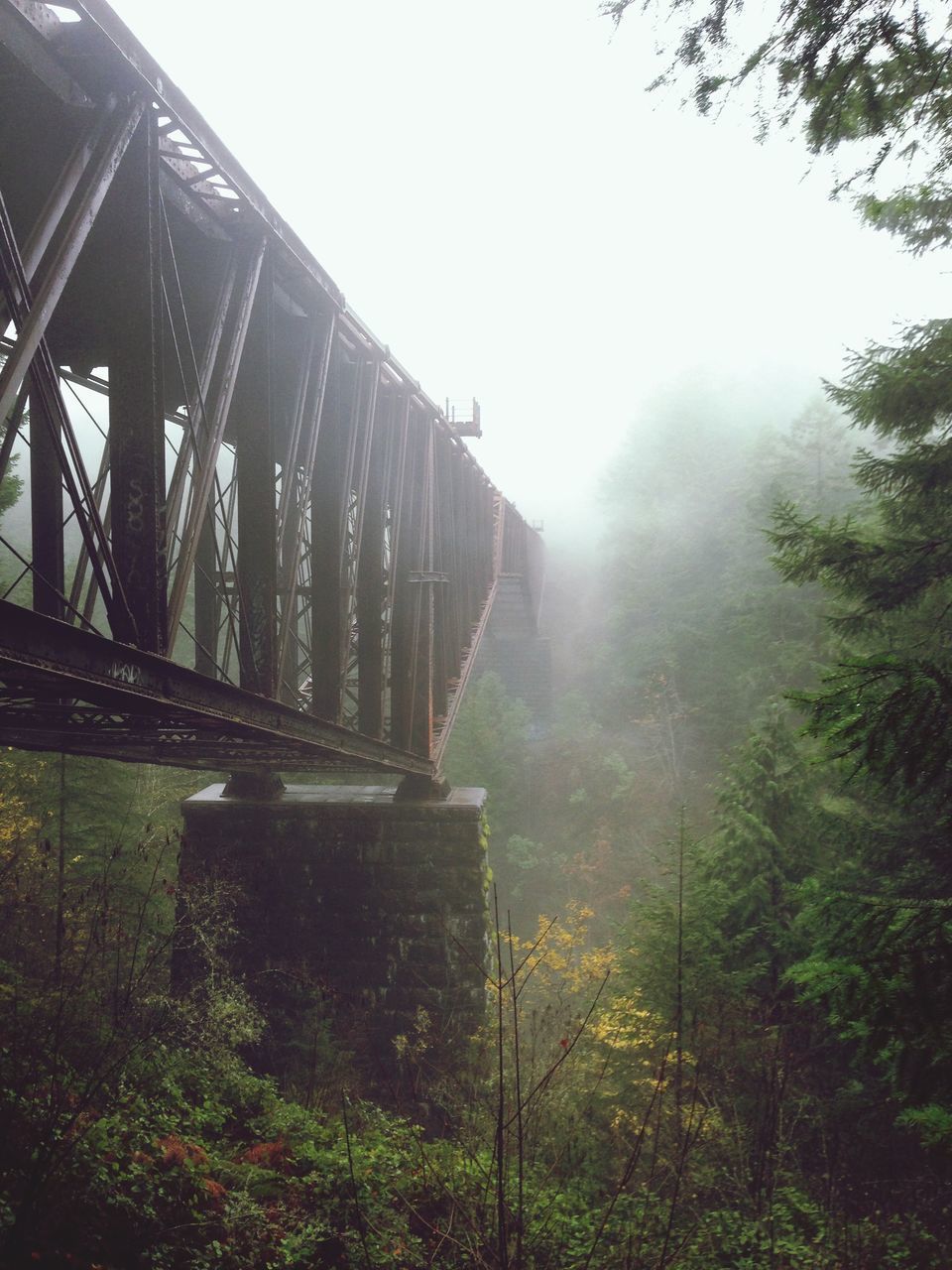 VIEW OF FOGGY WEATHER