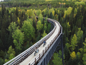 High angle view of road amidst trees in forest