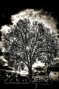 Low angle view of trees against cloudy sky