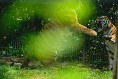 Blurred motion of man relaxing on field