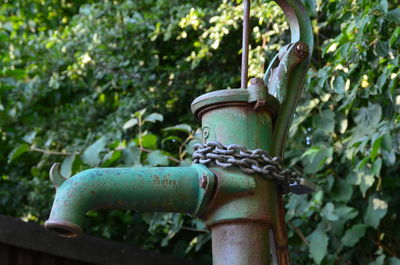 Close-up of metal hanging on tree