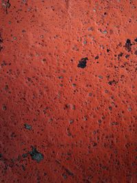 Full frame shot of water drops on red surface