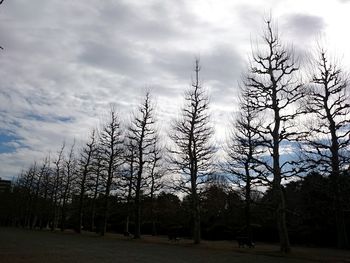Bare trees on landscape against sky